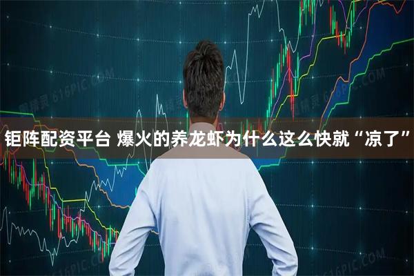 钜阵配资平台 爆火的养龙虾为什么这么快就“凉了”